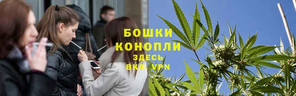 гидра Верея
