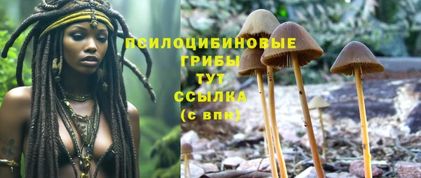 гидра Верея