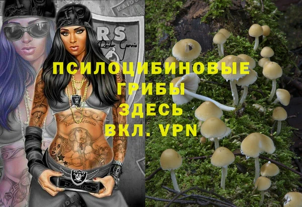 тгк Верхний Тагил